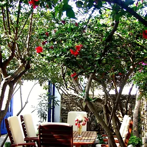 https://matina-garden.hotels-in-mykonosisland.net